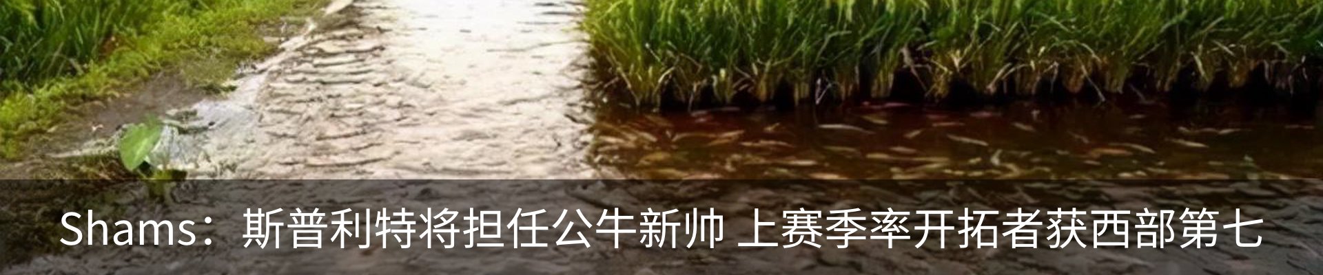 资讯中心